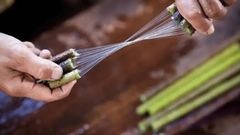 Natural Raw Materials